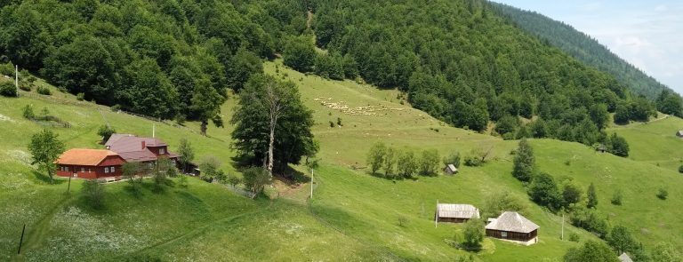 Zărnești → Prăpăstii → Curmătura → La Om → Plaiul Foii (traversare)