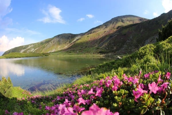 Borșa → Lacul Lala Mare → Lacul Lala Mic