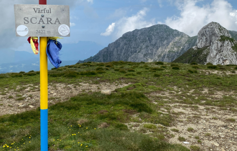Avrig → Cabana Bârcaciu → Șaua Scara → Vârful Scara